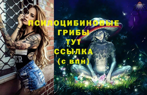 амф Абдулино