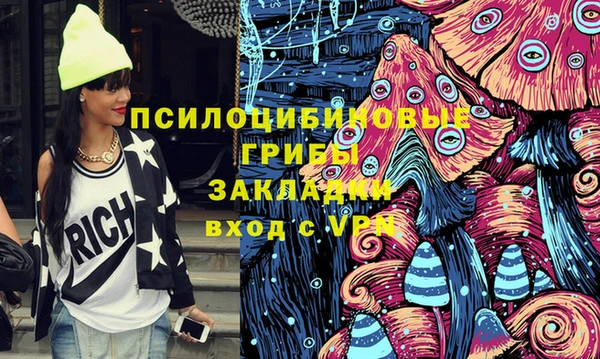 PSILOCYBIN Абинск