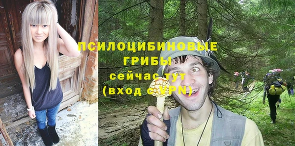 тгк Алексеевка
