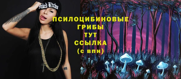 PSILOCYBIN Абинск