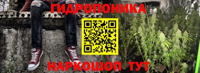 трава Пугачёв