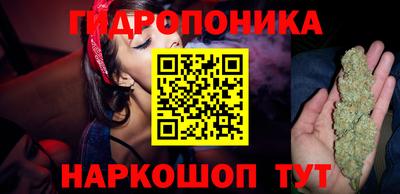 трава Пугачёв