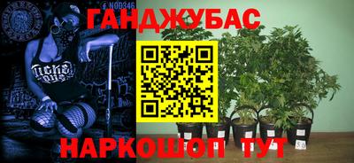 сатива Пыть-Ях